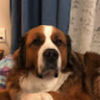 mariebenson630